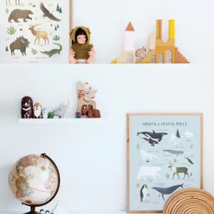 Affiche Animaux D’Amérique Du Nord Living Earth LILIPINSO Marron – Lilipinso 6