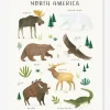 Affiche Animaux D’Amérique Du Nord Living Earth LILIPINSO Marron – Lilipinso 22