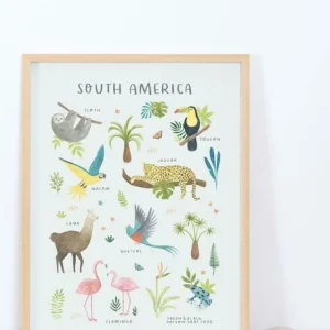 Affiche Animaux D’Amérique Du Sud Living Earth LILIPINSO Multicolore – Lilipinso 6