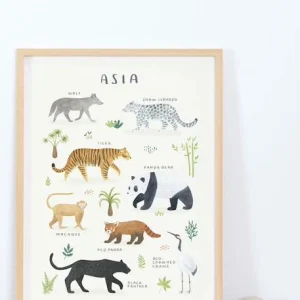 Affiche Animaux D’Asie Living Earth LILIPINSO Gris – Lilipinso 6