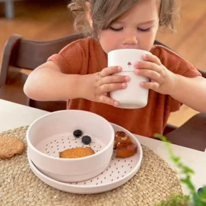 Coffrets Repas LÄSSIG Little Water Et Garden Explorer Forest Lapin – Lassig 18